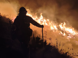 Siete incendios forestales continúan activos en cuatro provincias del país image